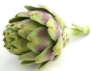 artichoke be well in beirut cellulite